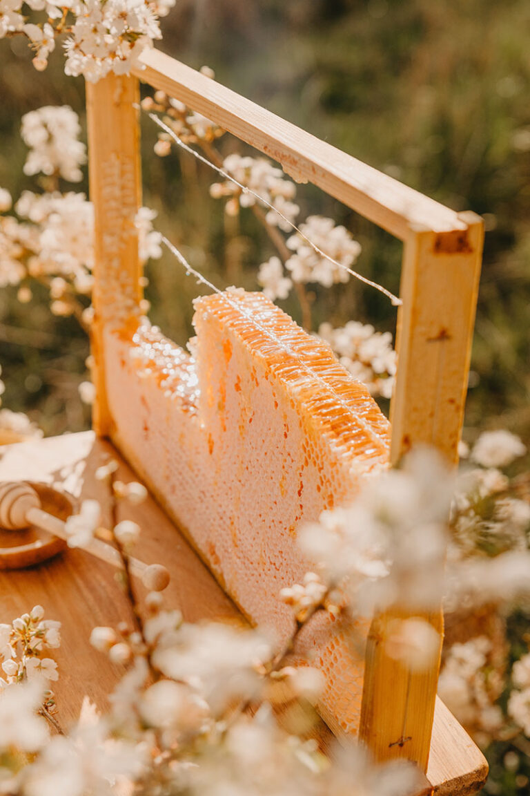 The Surprising Benefits of Honey for Your Eyes
