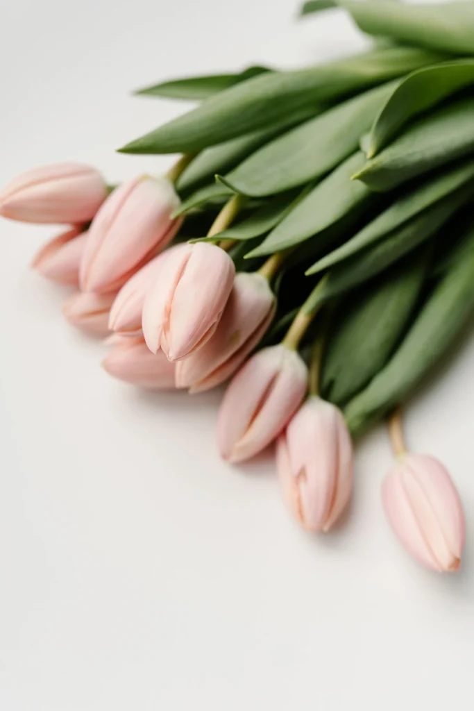 Spring Self-Care: Nurturing Yourself as the Season Renews